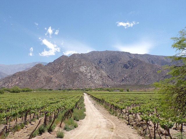 Cafayate