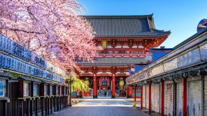 Templo Sensoji y flor de cerezo en Asakusa, Taito, Tokio
