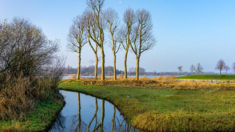 נוף מים ועצים באזור הפולדר סמוך לאוטרכט (Utrecht), הולנד